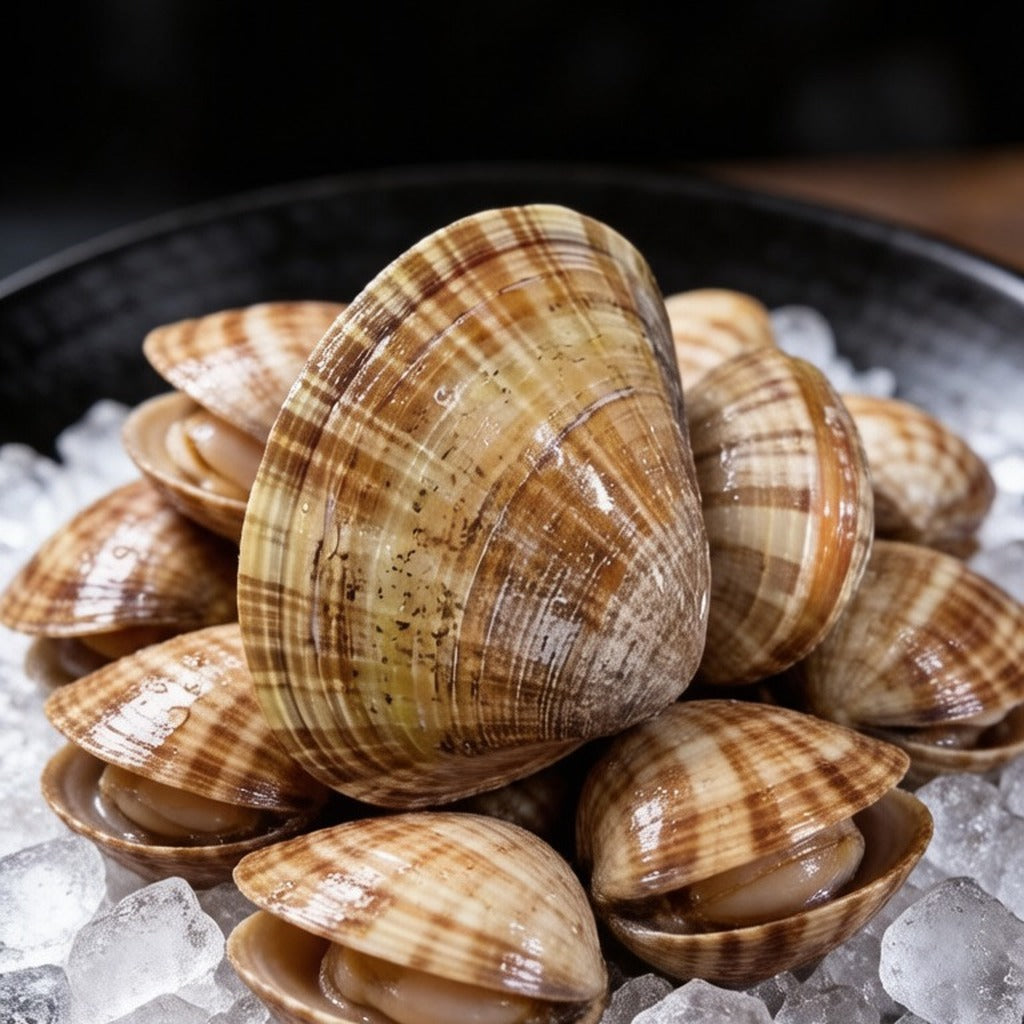 Live clams on ice